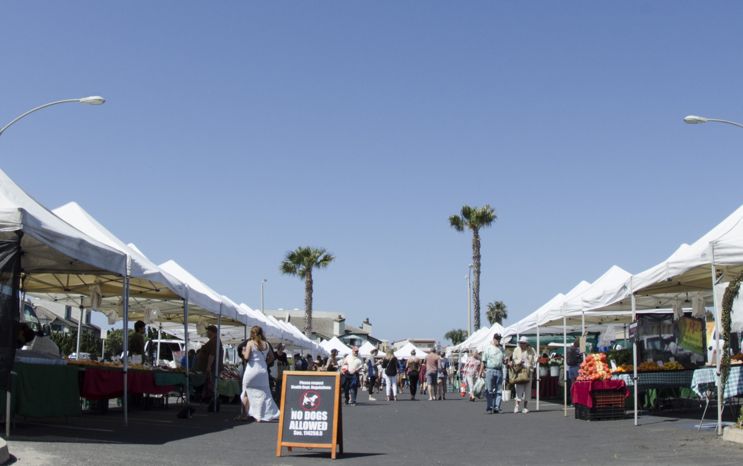 Channel Islands Harbor Farmers Market - Raw Inspiration