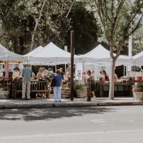 Calabasas Farmers Market Raw Inspiration