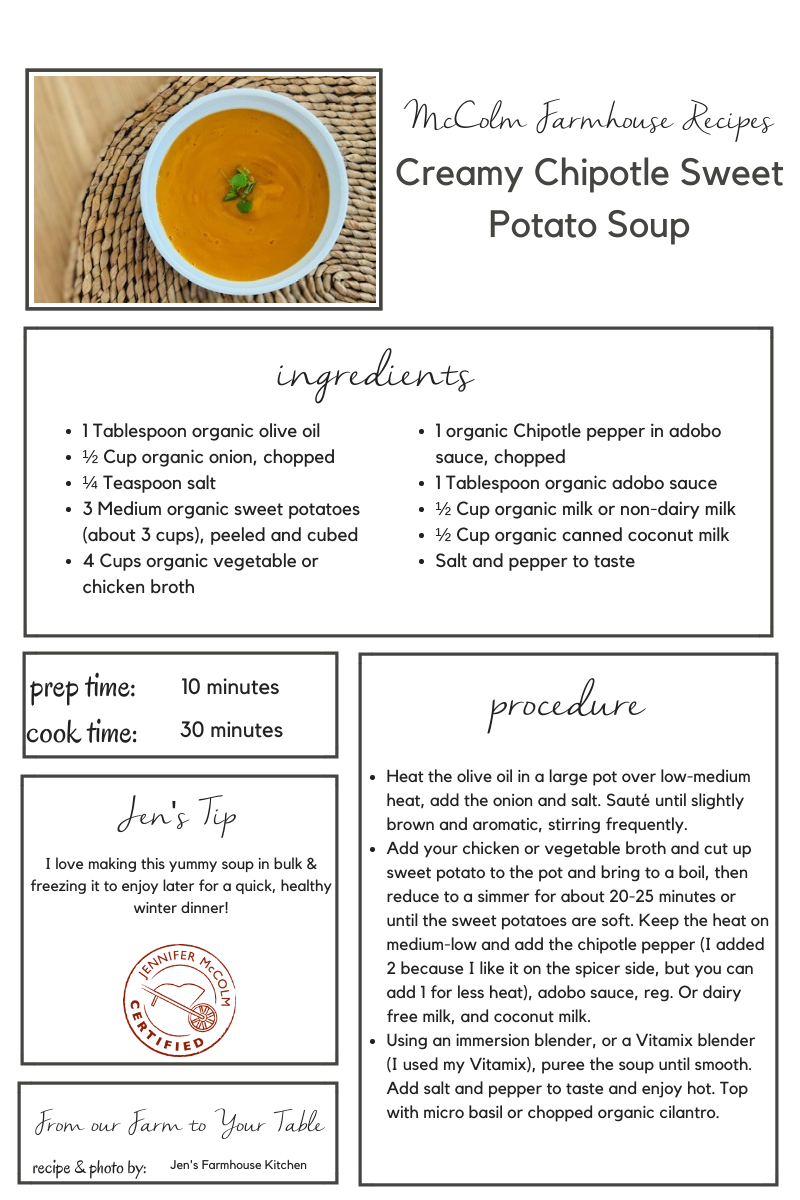 Creamy Chipotle Sweet Potato Soup - Raw Inspiration
