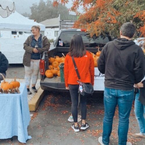 Agoura Hills Farmers Market at Whizin Market Square - Raw Inspiration